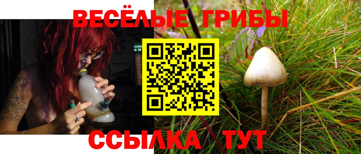 Псилоцибиновые грибы Psilocybine cubensis Троицк