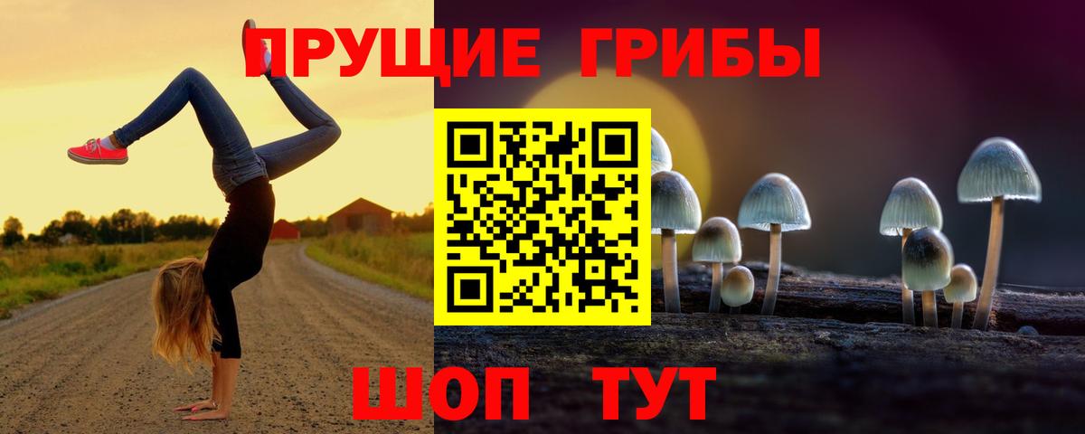 Троицк  Галлюциногенные грибы Psilocybe  Вход с VPN  Галлюциногенные грибы Magic Shrooms 